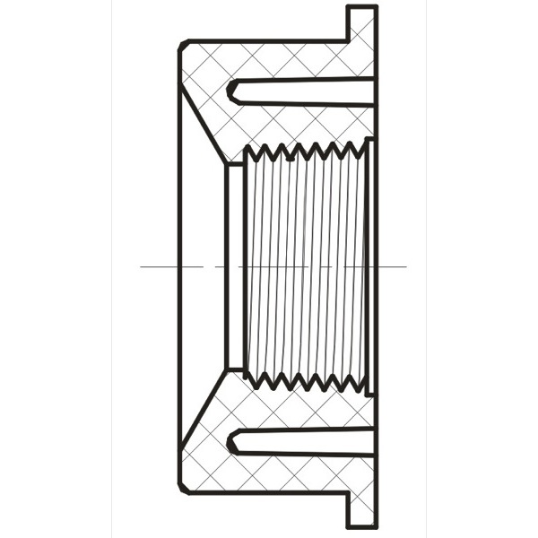 Reducing Bushing ( DishWasher Bushing )  ( S × FPT )