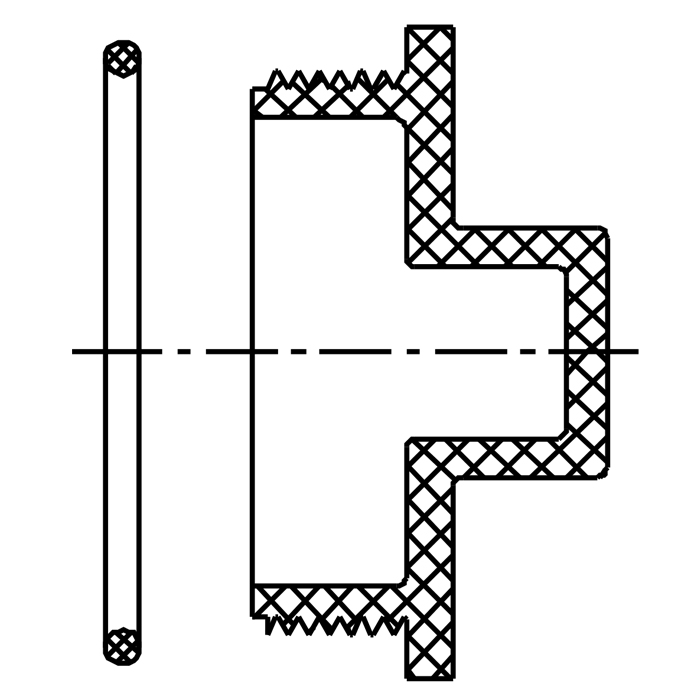 Plug With Gasket (MIPT)