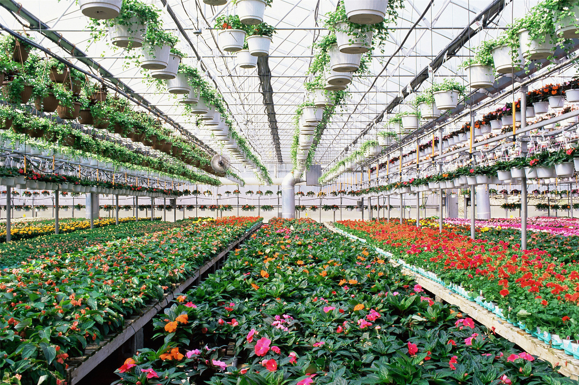 High-Efficiency Sprinkler Systems in Arid Regions