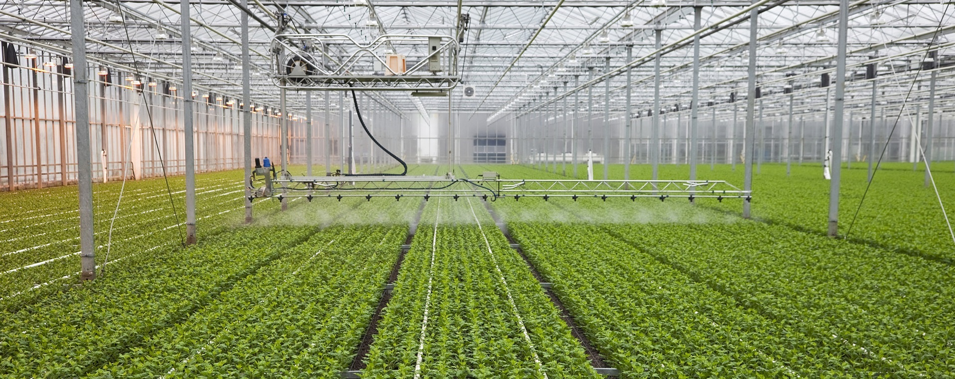  How PVC Pipes Support Reliable Irrigation in Cold Conditions